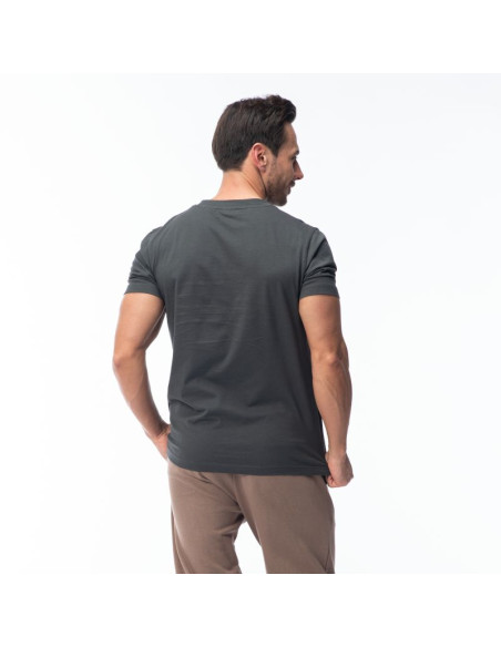 Męska koszulka z krótkim rękawem hamiloni