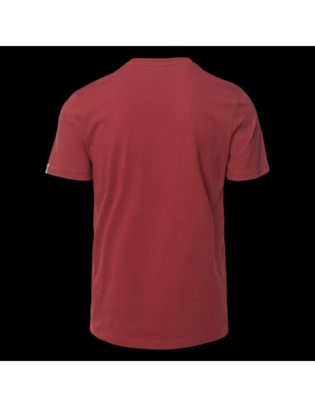 Męska koszulka z krótkim rękawem hamiloni