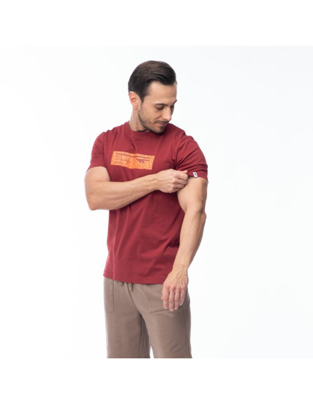 Męska koszulka z krótkim rękawem hamiloni