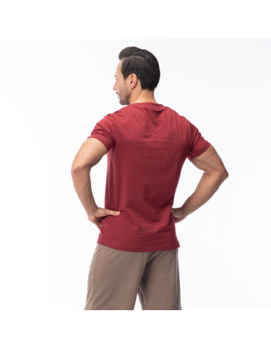 Męska koszulka z krótkim rękawem hamiloni