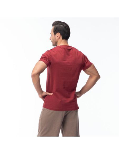 Męska koszulka z krótkim rękawem hamiloni