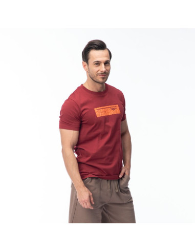 Męska koszulka z krótkim rękawem hamiloni