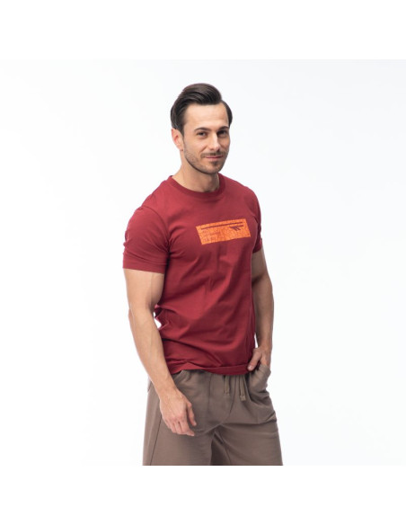 Męska koszulka z krótkim rękawem hamiloni