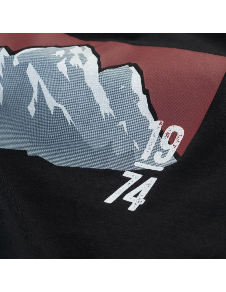 Męska koszulka z krótkim rękawem rawal