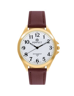 Zegarek męski perfect gxb412-12