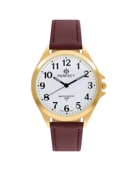 Zegarek męski perfect gxb412-12