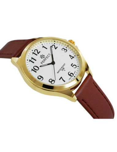 Zegarek męski perfect gxb412-12