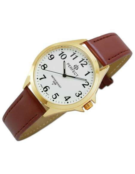 Zegarek męski perfect gxb412-12