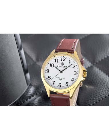 Zegarek męski perfect gxb412-12