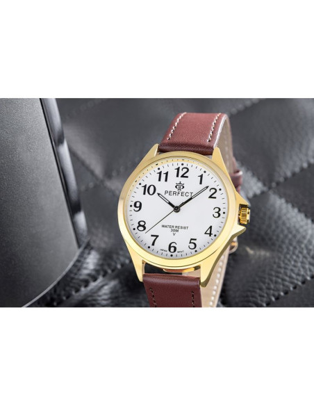 Zegarek męski perfect gxb412-12