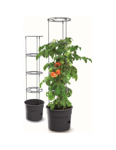 Doniczka do sadzenia pomidorów z drabinką pojemność 12l