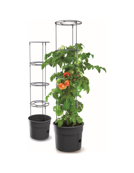 Doniczka do sadzenia pomidorów z drabinką pojemność 12l