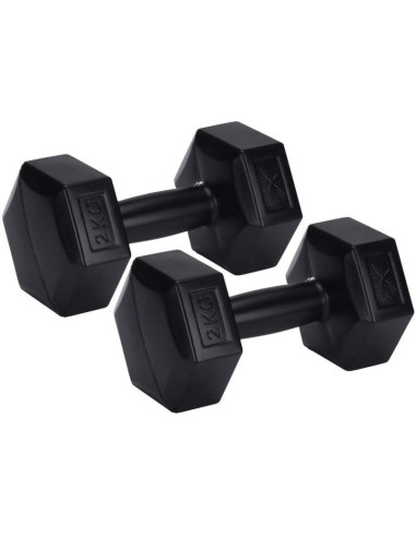 Zestaw hantli kompozytowych 2x2kg xqmax