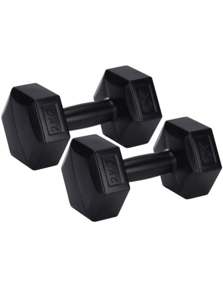 Zestaw hantli kompozytowych 2x2kg xqmax