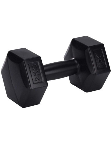 Zestaw hantli kompozytowych 2x2kg xqmax