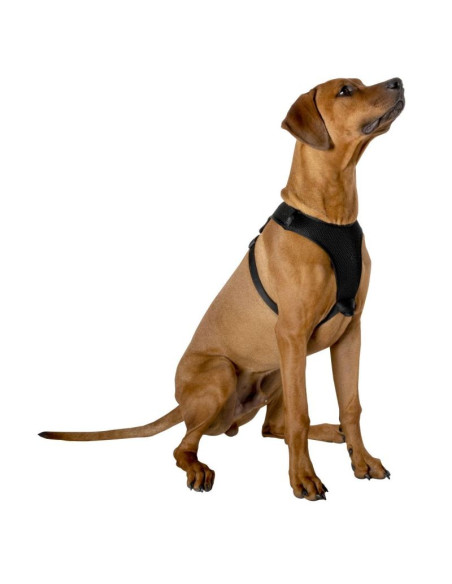 Szelki dla psa z tasmą odblaskową  41 - 67 cm large