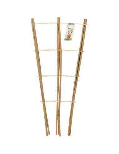 Podpora do roślin bambusowa drabinka 75 cm 3szt progarden