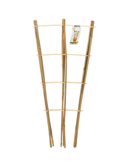 Podpora do roślin bambusowa drabinka 75 cm 3szt progarden