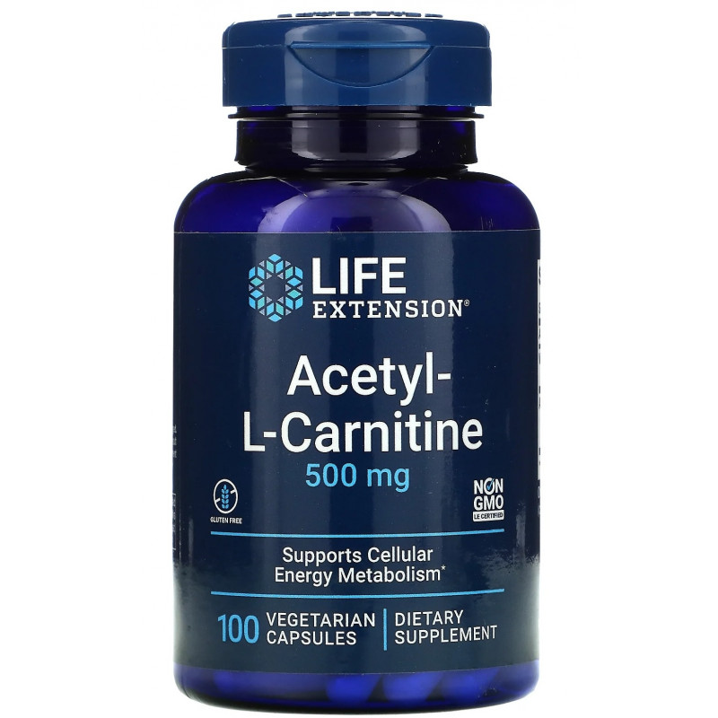 Acetyl L-Carnitine 500 mg (100 kaps.)