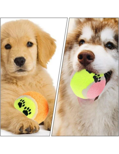 Piłka tenis ziemny dla psa 5szt