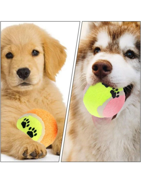 Piłka tenis ziemny dla psa 5szt