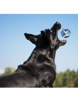 Piłeczki tenisowe dla psa 3szt 2