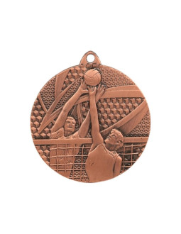 Medal brązowy- siatkówka 2