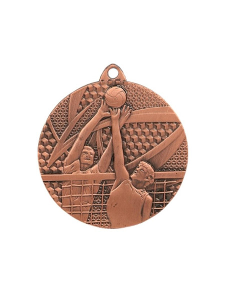 Medal brązowy- siatkówka