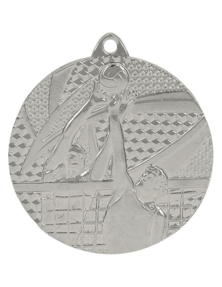 Medal srebrny- siatkówka