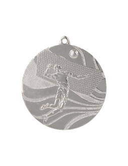 Medal srebrny- siatkówka 2