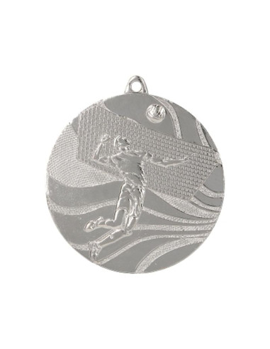 Medal srebrny- siatkówka