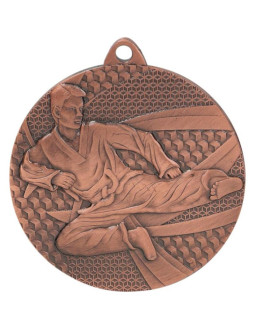 Medal brązowy- karate - medal stalowy