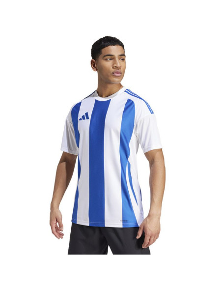 Koszulka adidas striped 24 jsy m