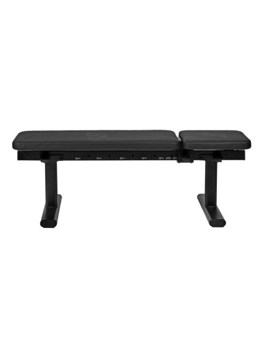 Speediance gym monster 2.0 family plus 21inchscreen