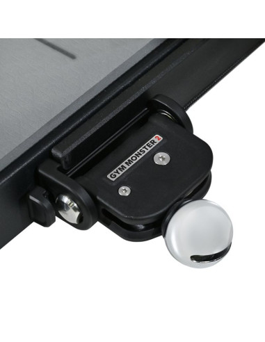 Speediance gym monster 2.0 works plus 21inchscreen