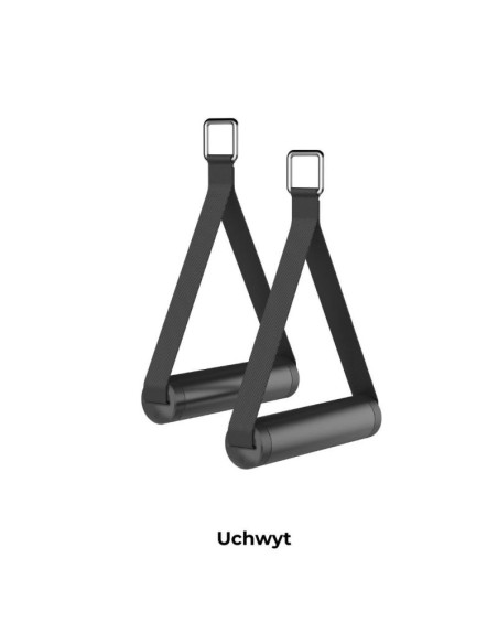 Speediance gym monster 2.0 works plus 21inchscreen