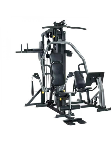Atlas horizon fitness torus 5
