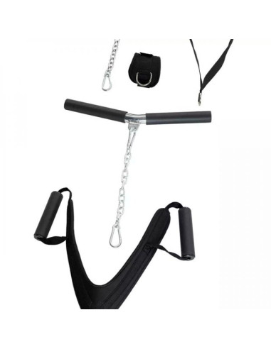 Atlas horizon fitness torus 5