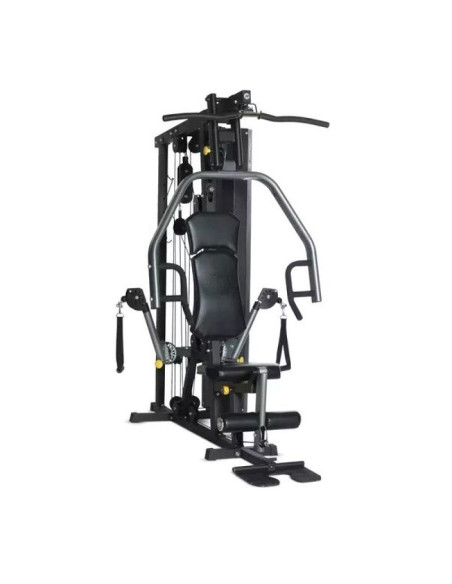Atlas horizon fitness torus 3