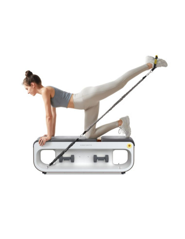 Multifunkcyjna ławka treningowa kingsmith fbb1c