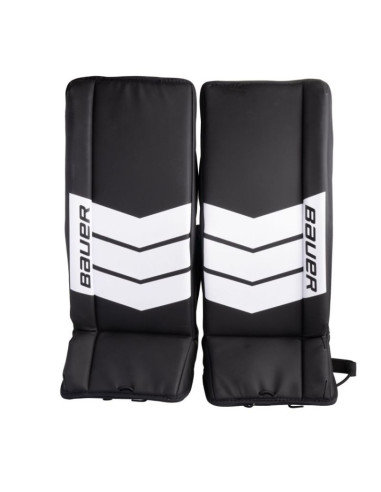 Sys. tren. bram. bauer do wyłapywania krążka