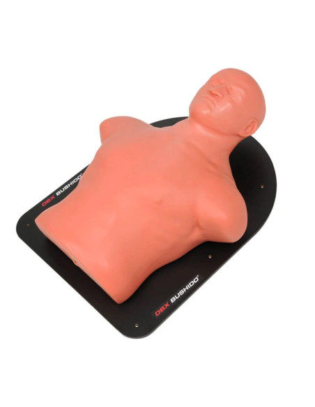 Tarcza ścienna w kształcie żelowego torsu człowieka tls-w