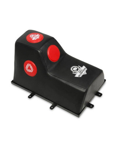 Tarcza bokserska scienna dbx