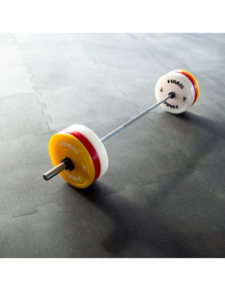 Tpp02 (2 x 2.5 kg) red talerz olimpijski techniczny pe 2 x 2.5 kg hms