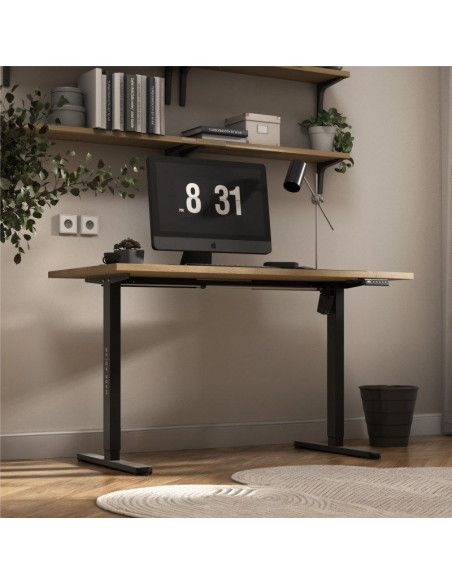 Stelaż elektryczny xeno 2.1