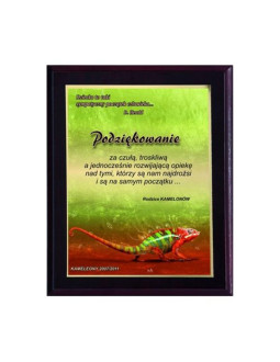 Dyplom z tworzywa sztucznego z laminatem  colour touch 2