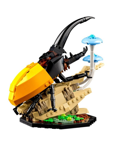 Lego ideas 21342 kolekcja owadów