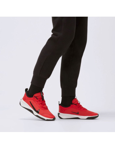 Omni multi-court (gs)