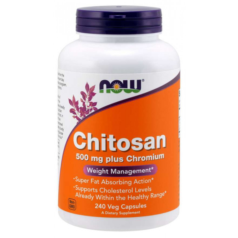 Chitosan - Chitozan 500 mg + Chrom 100 mcg (240 kaps.)