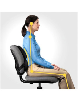 Fellowes ergonomia  podpórka poduszka profesjonalna pod plecy